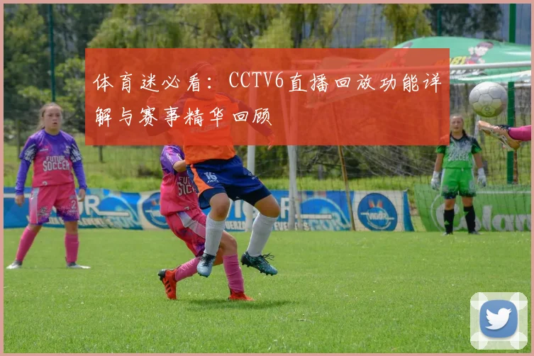 体育迷必看:CCTV6直播回放功能详解与赛事精华回顾